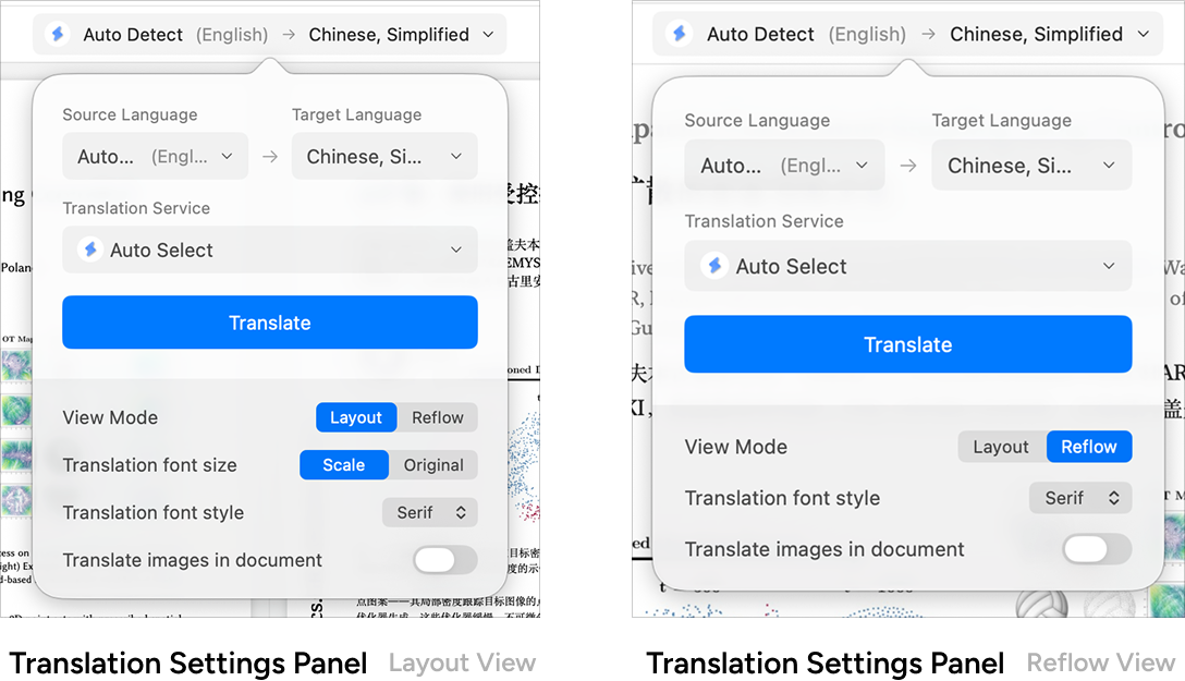 Translation settings panel